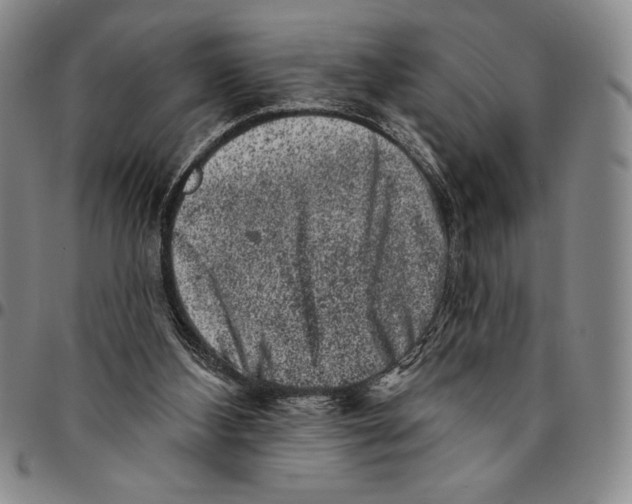 X0000094380108200711301409