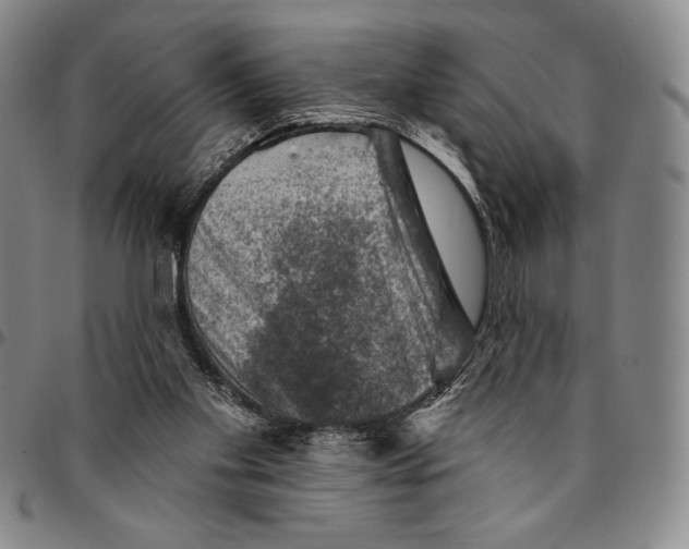 X0000094380109200711301409