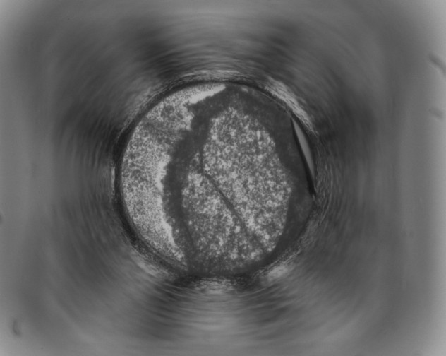 X0000094380110200711301409