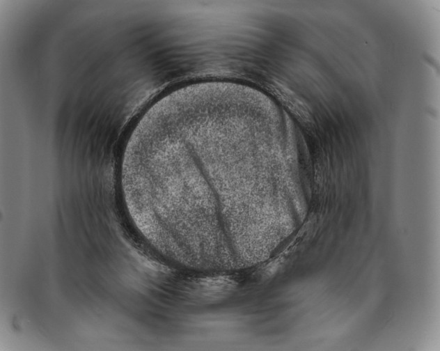 X0000094380112200711301409