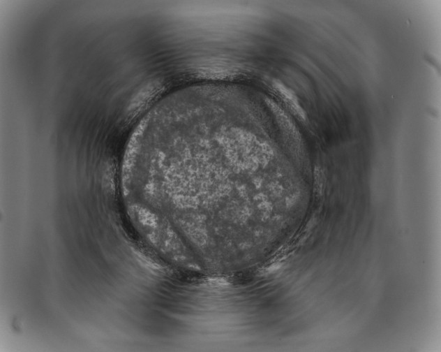 X0000094380114200711301409