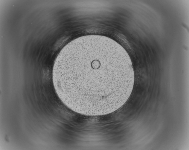 X0000094380116200711301409