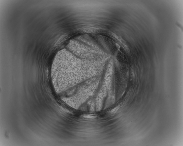 X0000094380117200711301409