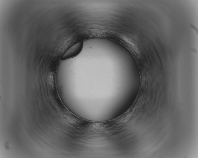 X0000094380121200711301409