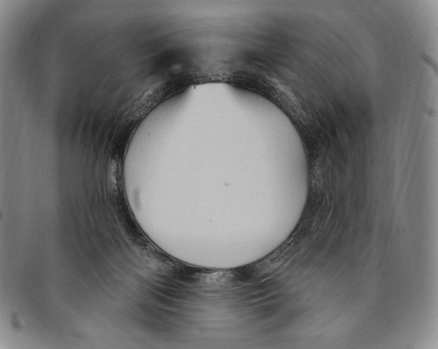 X0000094380122200711301409