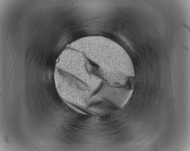 X0000094380124200711301409