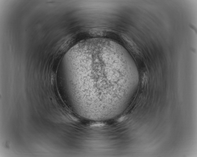 X0000094380125200711301409