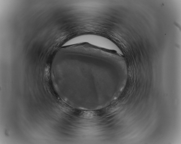 X0000094380127200711301409
