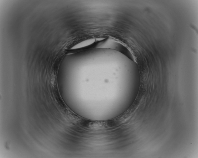 X0000094380129200711301409