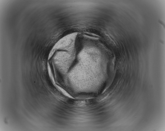X0000094380131200711301409
