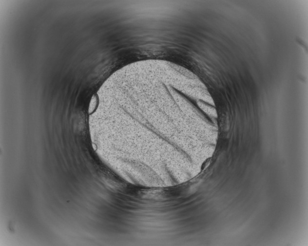 X0000094380132200711301409