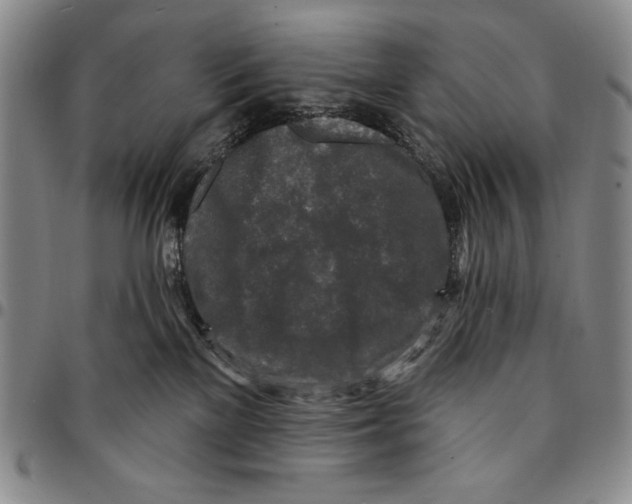X0000094380137200711301409