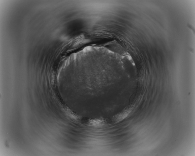 X0000094380139200711301409