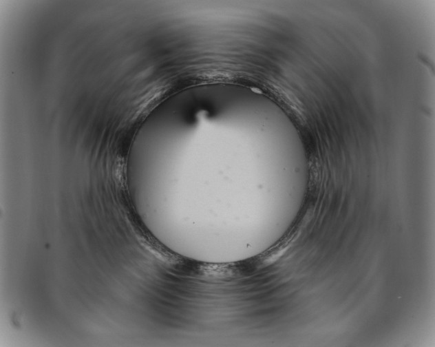 X0000094380141200711301408