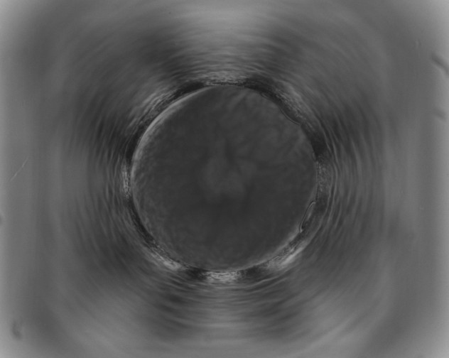 X0000094380143200711301408