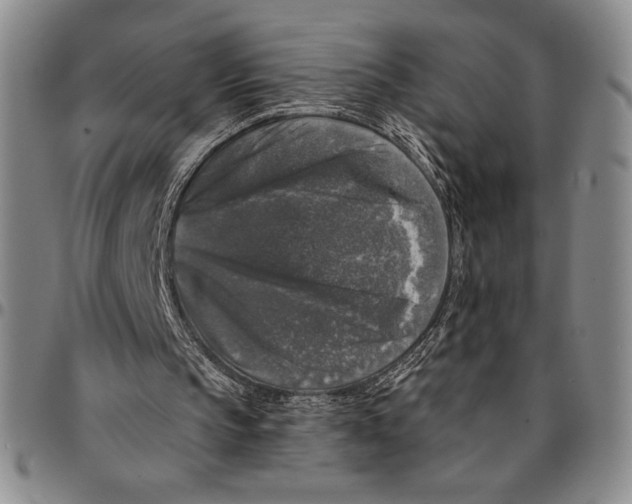 X0000094380145200711301408