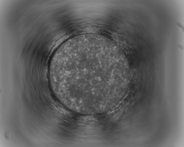 X0000094380146200711301408