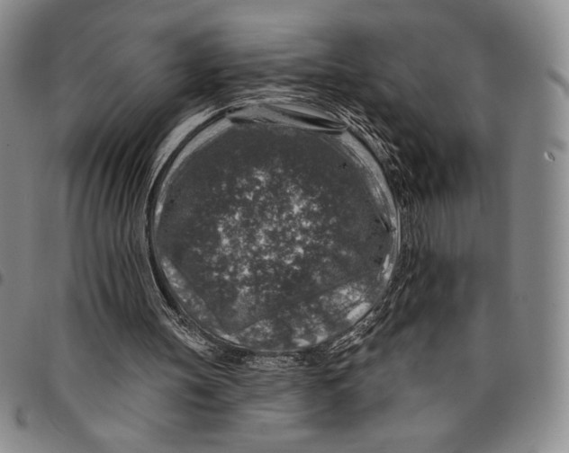 X0000094380147200711301408