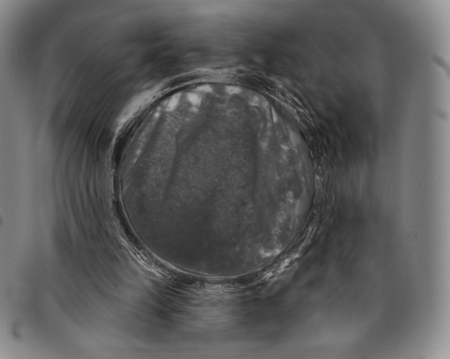 X0000094380149200711301408