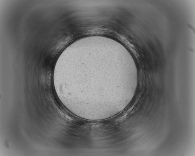 X0000094380153200711301408