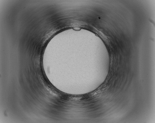 X0000094380155200711301408