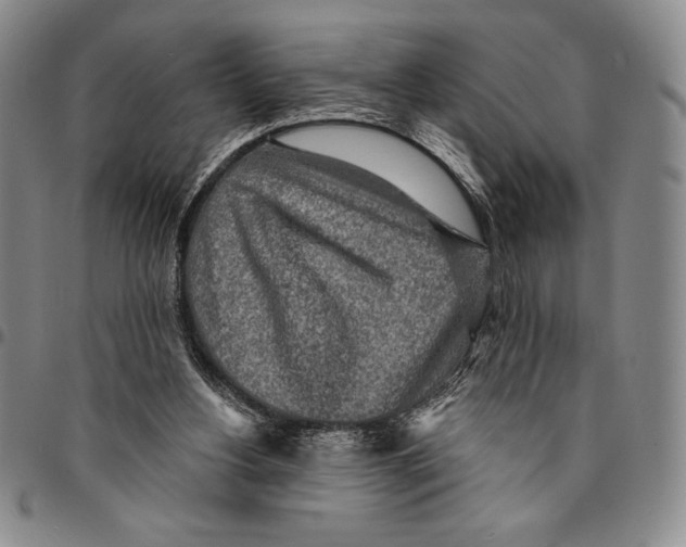X0000094380156200711301408