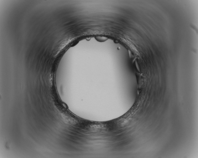 X0000094380160200711301408