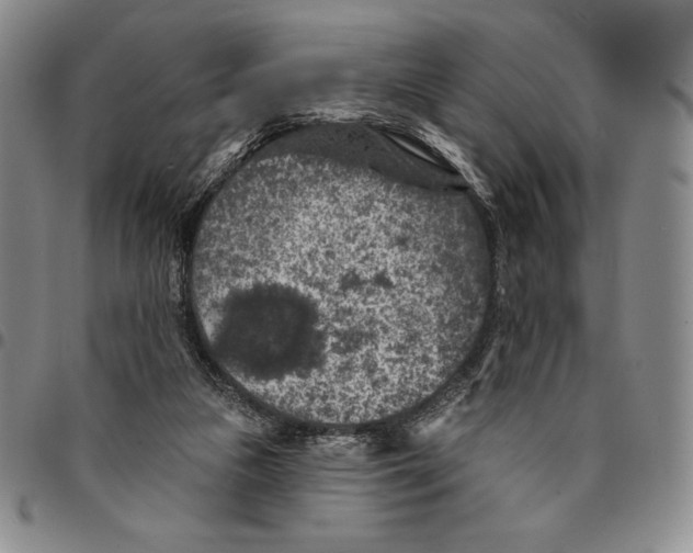 X0000094380161200711301408