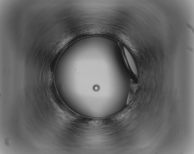 X0000094380164200711301408