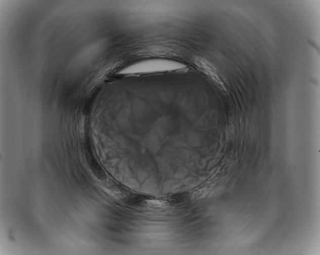 X0000094380167200711301408