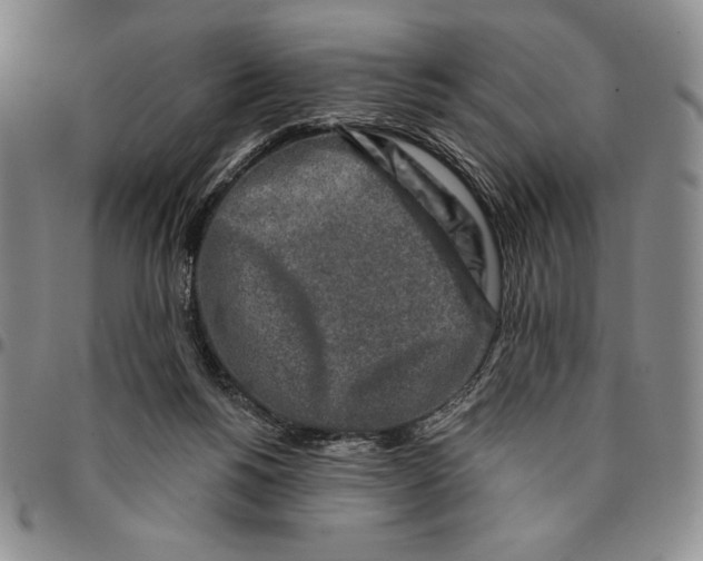 X0000094380168200711301408