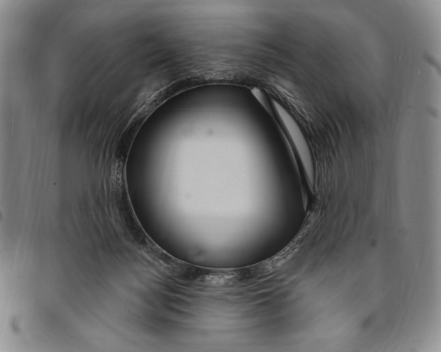 X0000094380172200711301408