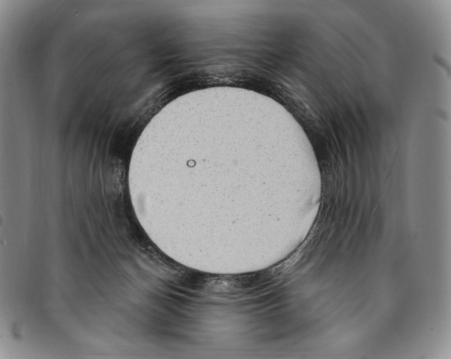X0000094380174200711301408