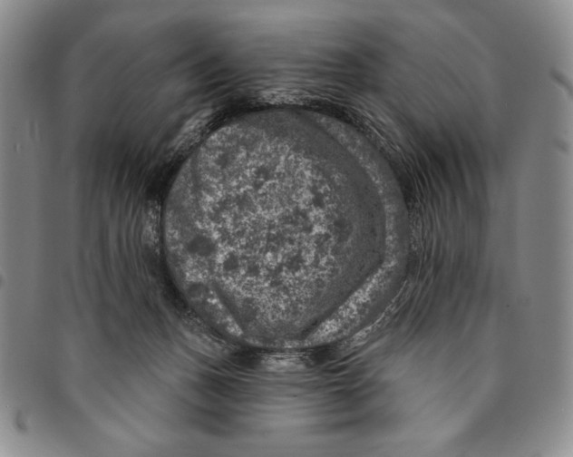 X0000094380175200711301408