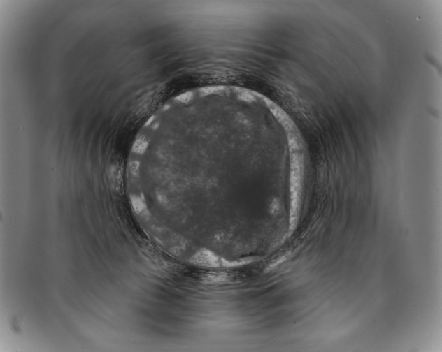 X0000094380177200711301408