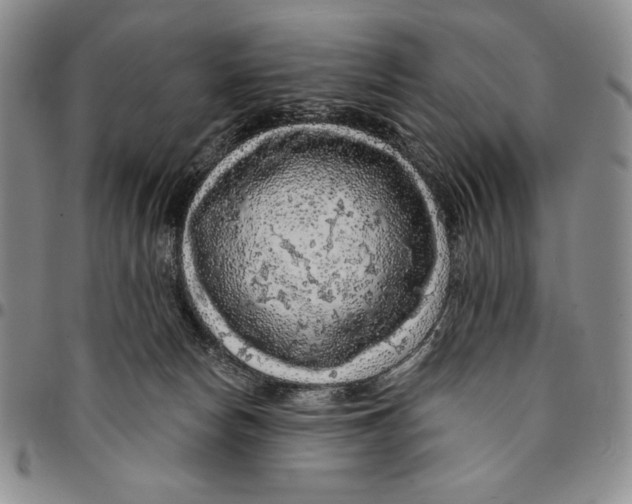 X0000094380178200711301408