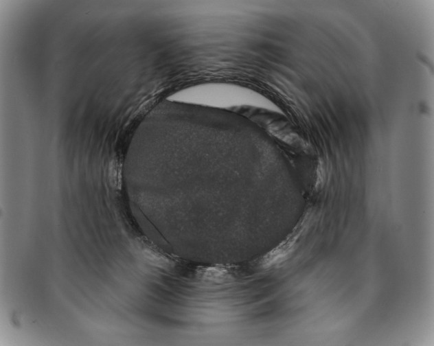 X0000094380180200711301408