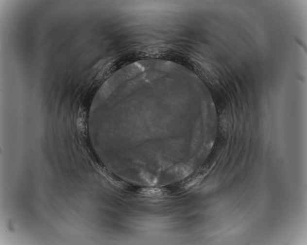 X0000094380181200711301408
