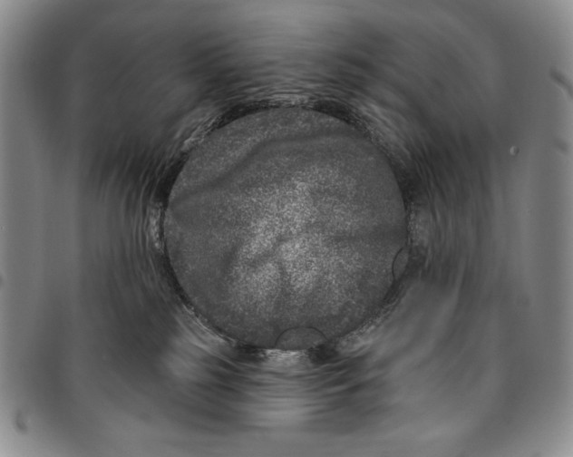 X0000094380185200711301408