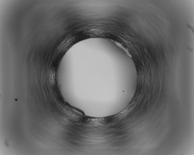 X0000094380188200711301408