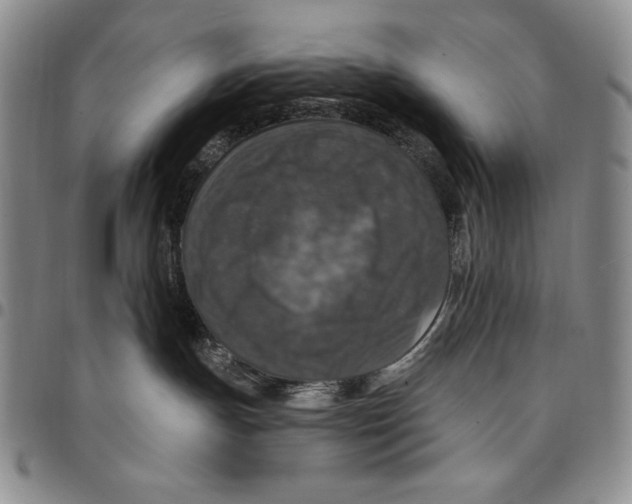 X0000094380191200711301408
