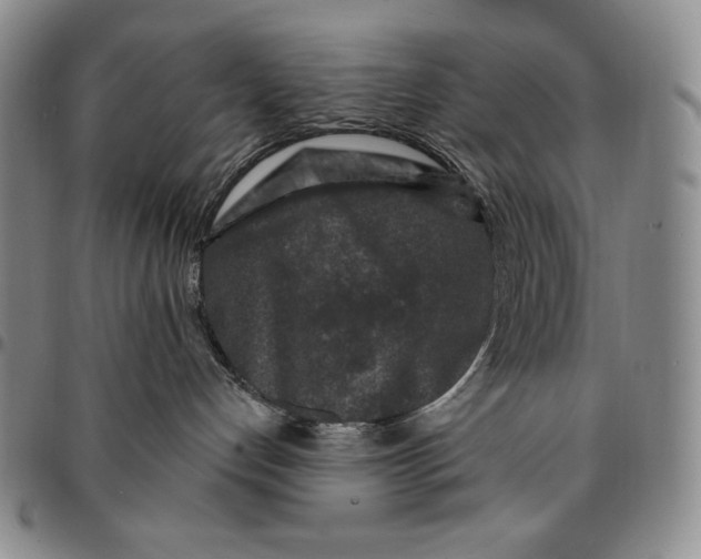 X0000094380192200711301408
