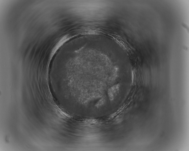 X0000094380195200711301408