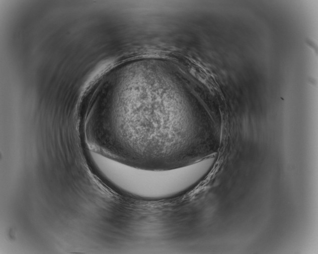 X0000094380197200711301408