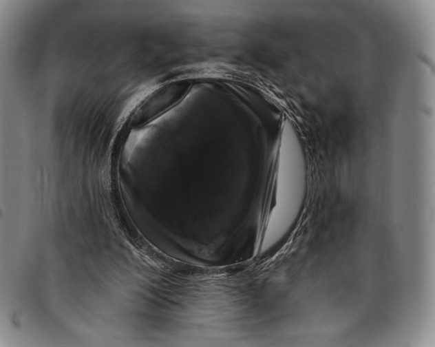 X0000094380200200711301408