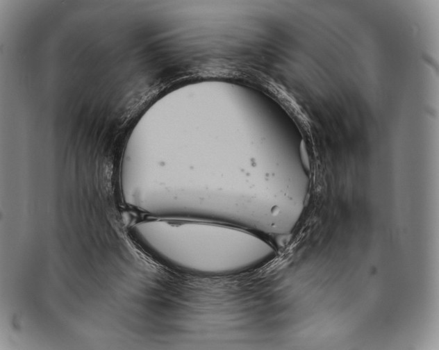 X0000094380201200711301408