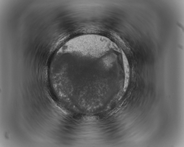 X0000094380202200711301408