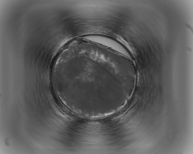 X0000094380203200711301408
