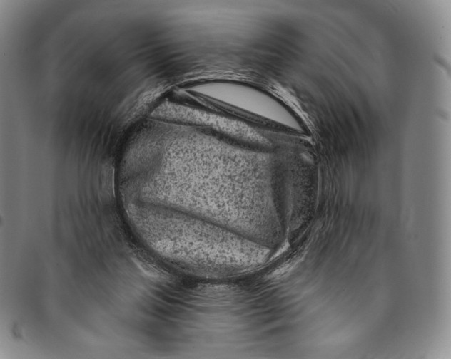 X0000094380205200711301408