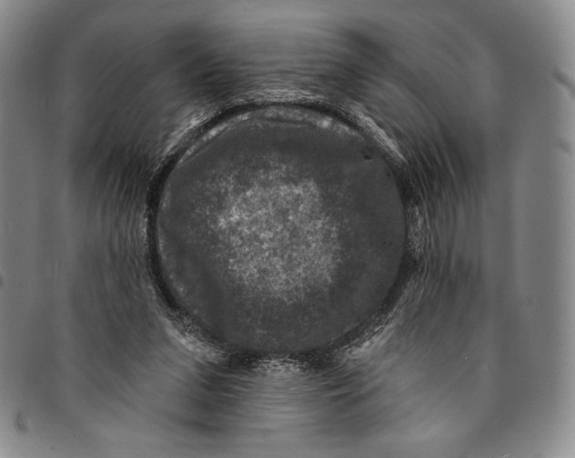 X0000094380207200711301408
